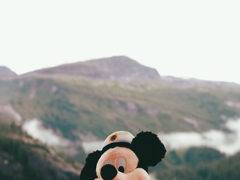 Disney Cruise Line experience 3