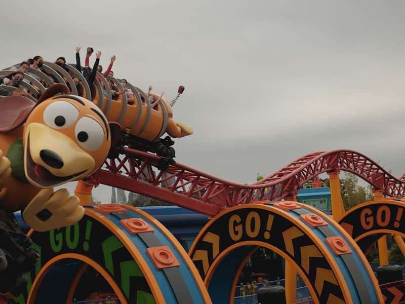 Walt Disney World experience 4