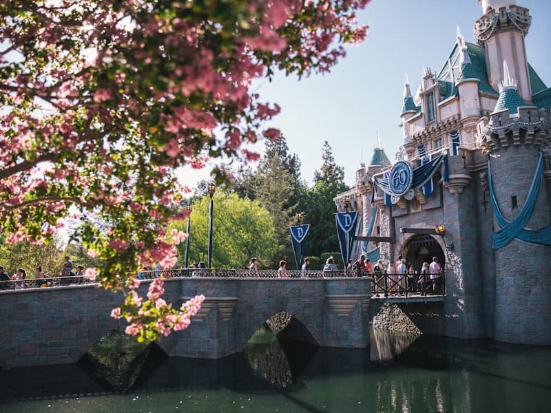 Disneyland Resort experience 2