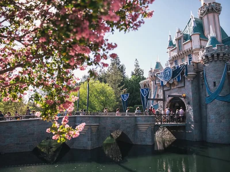 Sleeping Beauty Castle beyond water and flowering branches